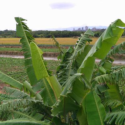 F09_天堂就在此時此地3_1140520