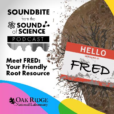 Soundbite: Meet FRED — Your Friendly Root Resource