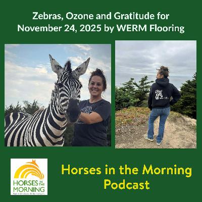 Zebras, Ozone and Gratitude for November 24, 2025 by WERM Flooring - Horses in the Morning