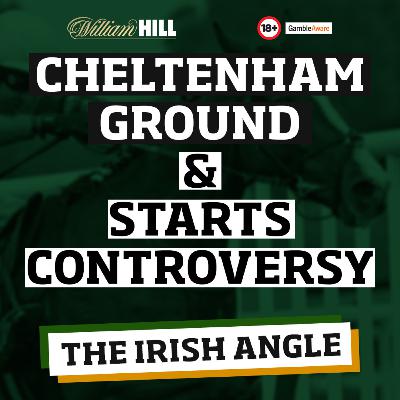Cheltenham Review | The Irish Angle Cheltenham Review | The Irish Angle