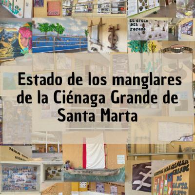 Estado de los manglares de a Ciénaga Grande de Santa Marta