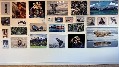 reCOMPOSE 76: Exhibiting Your Work, Part II