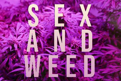 Sex & Weed: How Does Marijuana Impact My Sex Life?