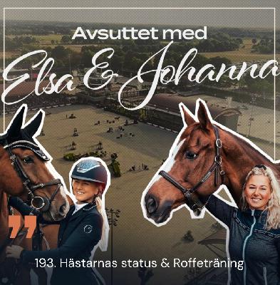 193. Hästarnas status & Roffeträning