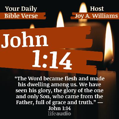 ADVENT: The Wonder of the Word Becoming Flesh (John 1:14)