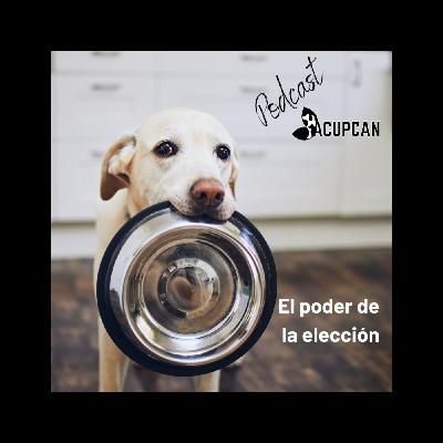 EL PODER DE LA ELECCIÓN