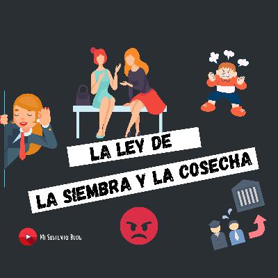 La ley de la siembra y la cosecha | #Reflexion La ley de la siembra y la cosecha | #Reflexion