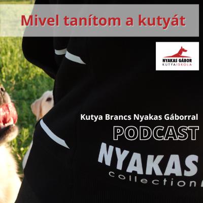 Mivel tanítsam a kutyát? - Kutya Brancs Nyakas Gáborral Mivel tanítsam a kutyát? - Kutya Brancs Nyakas Gáborral