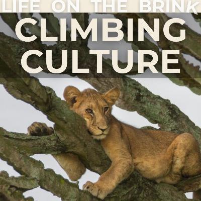 THE LAST TREE-CLIMBING LIONS w/ big cat researcher & filmmaker Dr Alexander Braczkowski