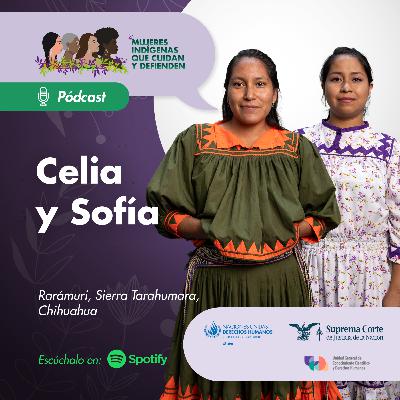 Mujeres indígenas que cuidan y defienden: Sierra Tarahumara, Chihuahua