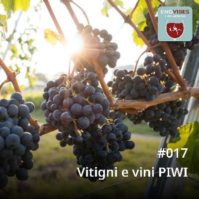 #017 - Vitigni e vini PIWI