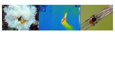 Climate change research at IBAHCM