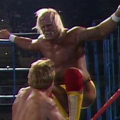 Saturday Night's Main Event IX