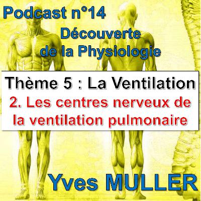 14. La ventilation - Les centres nerveux de la ventilation pulmonaire