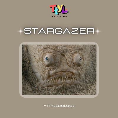 119: Si Hodoh Yang Suka Healing #TTYLzoology 119: Si Hodoh Yang Suka Healing #TTYLzoology