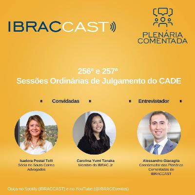 Plenária comentada: 256ª e 257ª Sessões Ordinárias de Julgamento do CADE