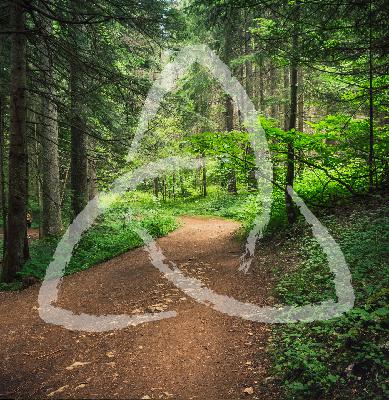 1 Thessalonians 5:4-8 Children of the Light