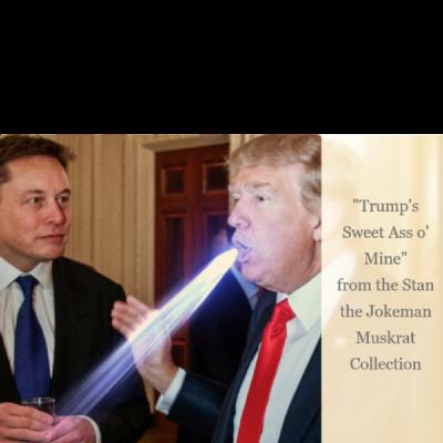 Elon Musk & Donald Trump Team Up For No Good & Trump's Sweet Ass o' Mine w/ lyrics below