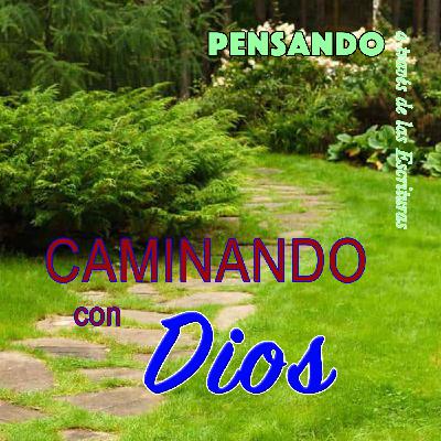Caminando con Dios (PAE N.22)