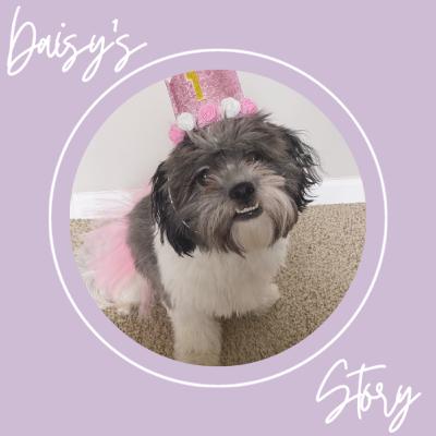 Daisy's Story | May 4, 2020