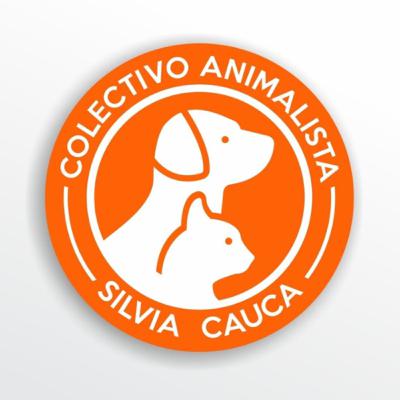 Charlar y concientizar: “Tony” el perrito que aún confía en los humanos.