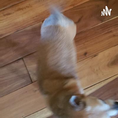 Duke's recovery update.