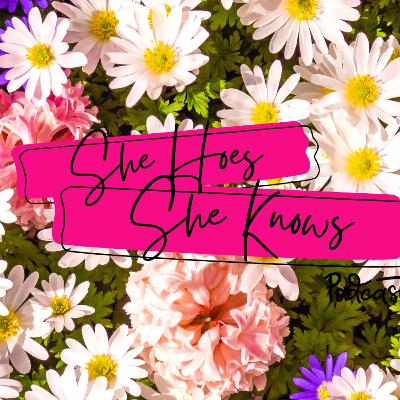 Fifty Shades of RED ( signs to avoid in relationships ) Fifty Shades of RED ( signs to avoid in relationships )