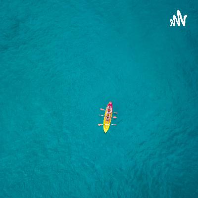 2029.再遭逼宫，中国手机深陷印度市场