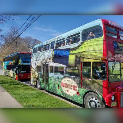 David Hovell - Magic Winery Bus