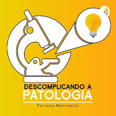 Inflamação aguda e crônica