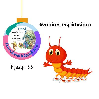 Episodio 35: Camina rapidísimo.