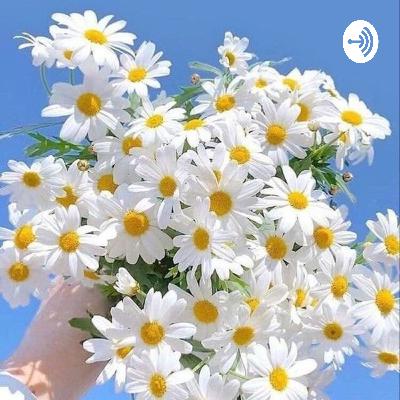 قصة الالوان المغروره