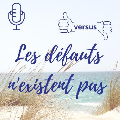 #3 - Les défauts n'existent pas
