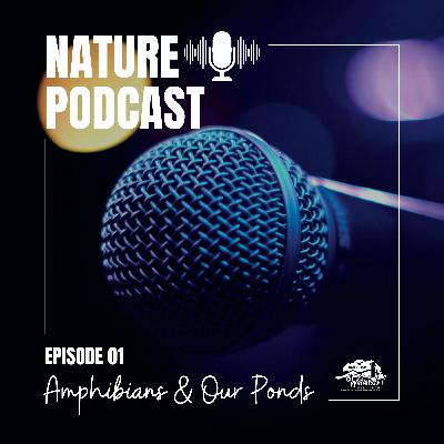 Replay Amphibians & Our Ponds Replay Amphibians & Our Ponds