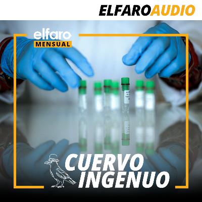 Cuervo ingenuo | Satanás