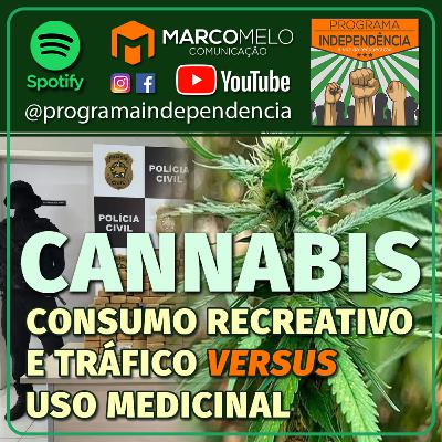 Cannabis: Consumo recreativo e tráfico versus uso medicinal Cannabis: Consumo recreativo e tráfico versus uso medicinal