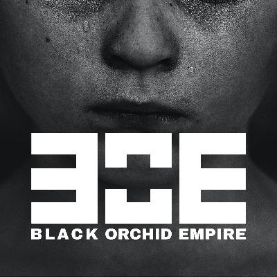 RS #177 - One Note Away from Despair with Paul Visser | Black Orchid Empire RS #177 - One Note Away from Despair with Paul Visser | Black Orchid Empire