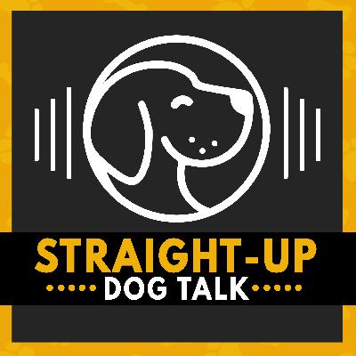 How CBD May Support Training, Enrichment, and Emotional Regulation in Anxious Dogs How CBD May Support Training, Enrichment, and Emotional Regulation in Anxious Dogs
