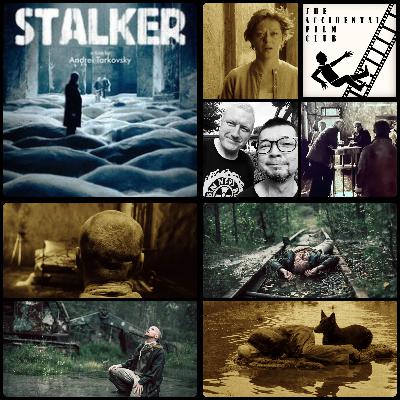Episode 219: Stalker "It Is So Quiet Out Here, It Is The Quietest Place In The World"