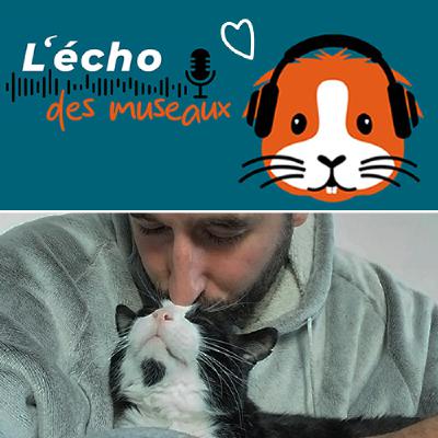 5. Antonin, la voix des chats sans toit