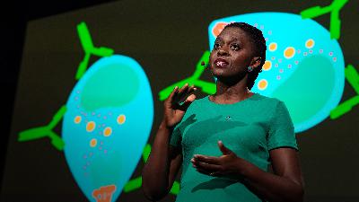 The key to a better malaria vaccine | Faith Osier The key to a better malaria vaccine | Faith Osier