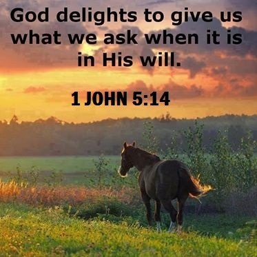 KJBRD Podcasts & Bible Studies
