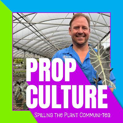 E03: SKG Went P*RN?!? And: Too Much Money, Pet Peeves, And A Call To Action For The Planet