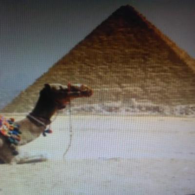 Datos curiosos sobre Egipto