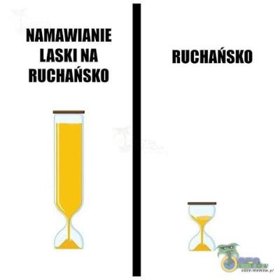 Zakład O Ruchańsko | Pastolektor