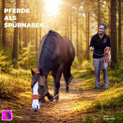 Fährtensuche mit Pferd statt Hund Fährtensuche mit Pferd statt Hund