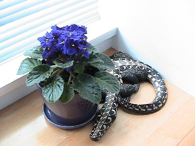 Thinking Out Loud Episode 3