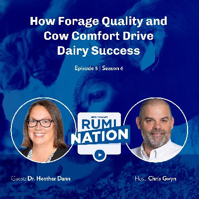 How Forage Quality and Cow Comfort Drive Dairy Success