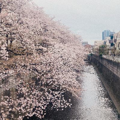 落合クエストからOHさんぽへ by bums_tokyo（ヒガシナカノノナカノヒト vol.16）