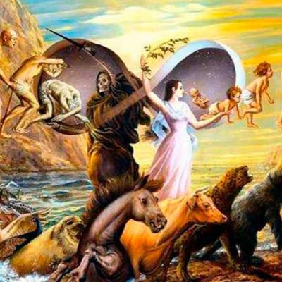 Episode 13: Reincarnation